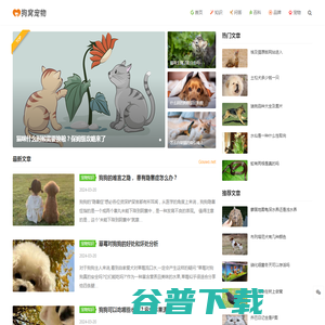 狗窝宠物网