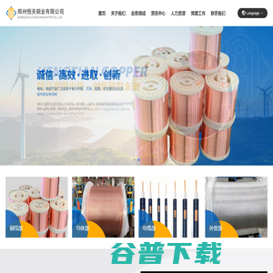 郑州恒天铜业有限公司