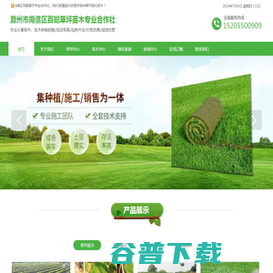 马尼拉草坪基地