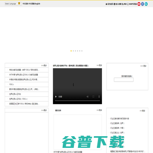 世界纪录协会