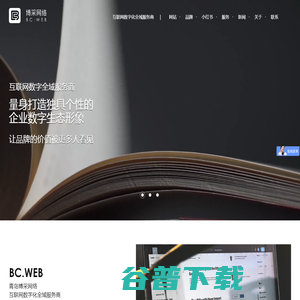 青岛博采网络