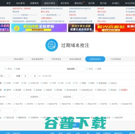 过期域名