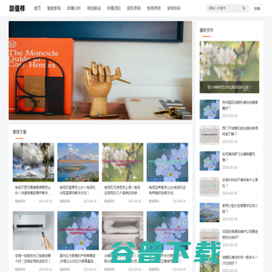 加值样