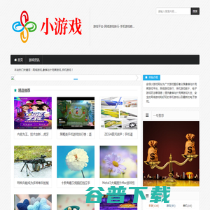 游戏平台