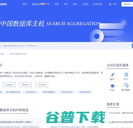 数字中国数据库主机