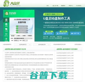 大白菜官网,大白菜winpe,大白菜U盘装系统,