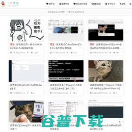 TRY博客