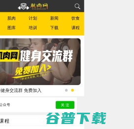 肌肉网