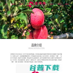 歪苹果
