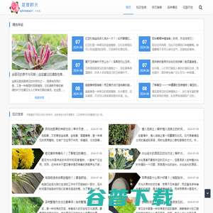 花伴时光