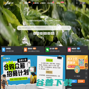 真伴网创