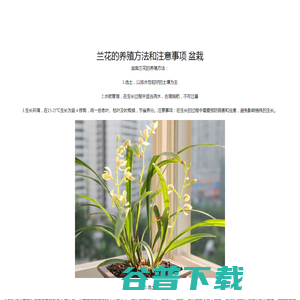 老玩家应用商店