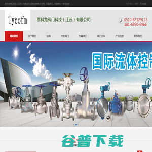 泰科龙阀门科技（江苏）有限公司