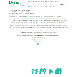 域名/IPv4/IPv6