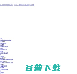 网站SEO报告