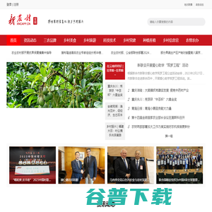 新农村网