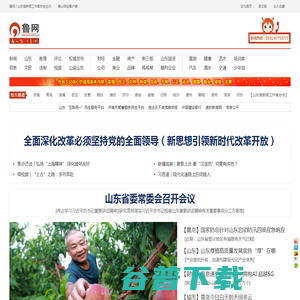 鲁网