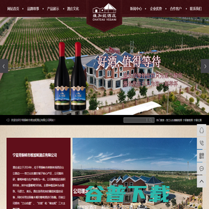 贺兰山东麓葡萄酒
