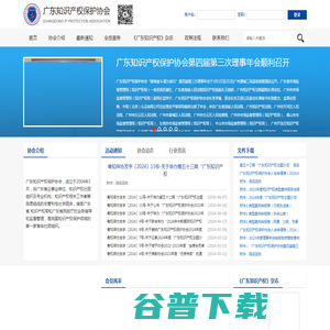 广东知识产权保护协会