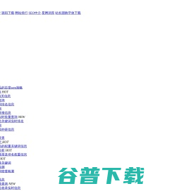 DNS污染