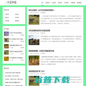 农业种植网