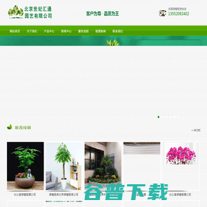 北京花卉租赁