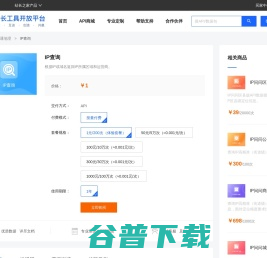 IP查询