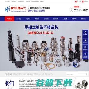 不锈钢格兰头,防爆电缆密封接头,防爆填料函,不锈钢铠装电缆接头,