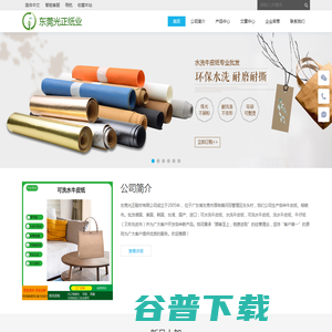 东莞光正纸业有限公司