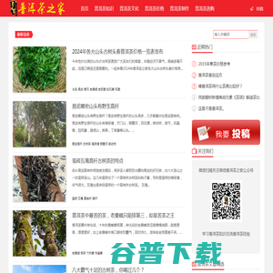 普洱茶之家