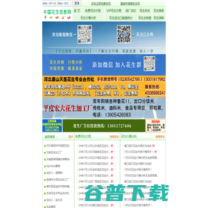 花生信息网:花生价格