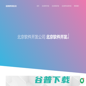 北京软件定制开发