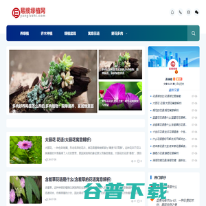 养绿植