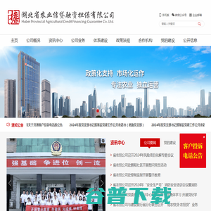 湖北省农业信贷融资担保有限公司