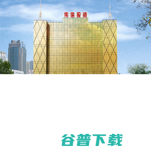 伟信投资有限公司