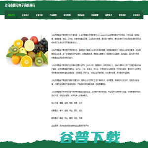 义乌市茜霞电子商务商行