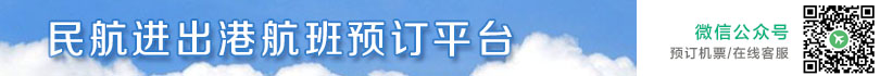 民航联网售票