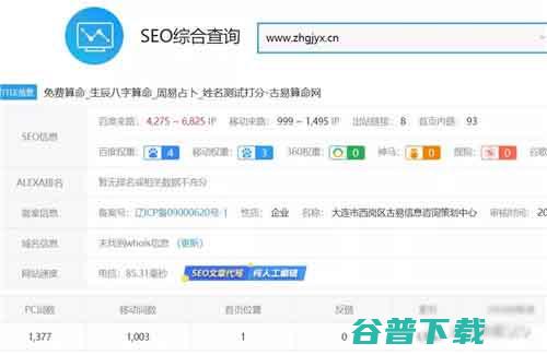  站长真实经历分享：SEO+八字项目月入过万 站长  好文分享 第2张
