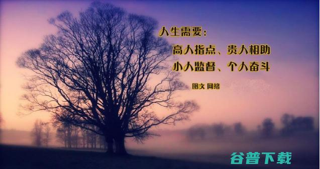 草根人物凭什么订阅号能月入10万 移动互联网 第5张