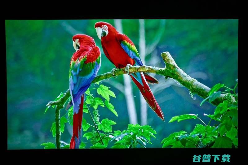 对焦避障校正百元级的哈趣Q1到底如何入幕都支持