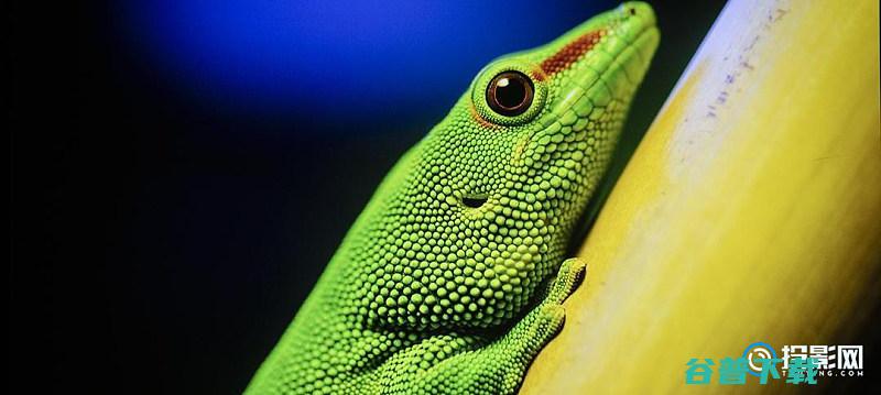 2022家用亮度排行榜最新家用亮度排