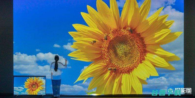 2022家用亮度排行榜最新家用亮度排