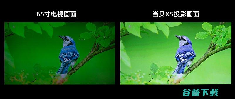 当贝X5投影亮度是多少?当贝X5白天可以用吗当贝x