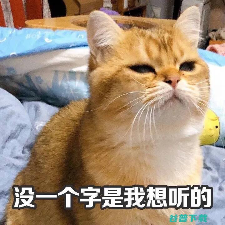 315 晚会「」遭猛捶，喝着喜茶的我找到「体面的」反方法