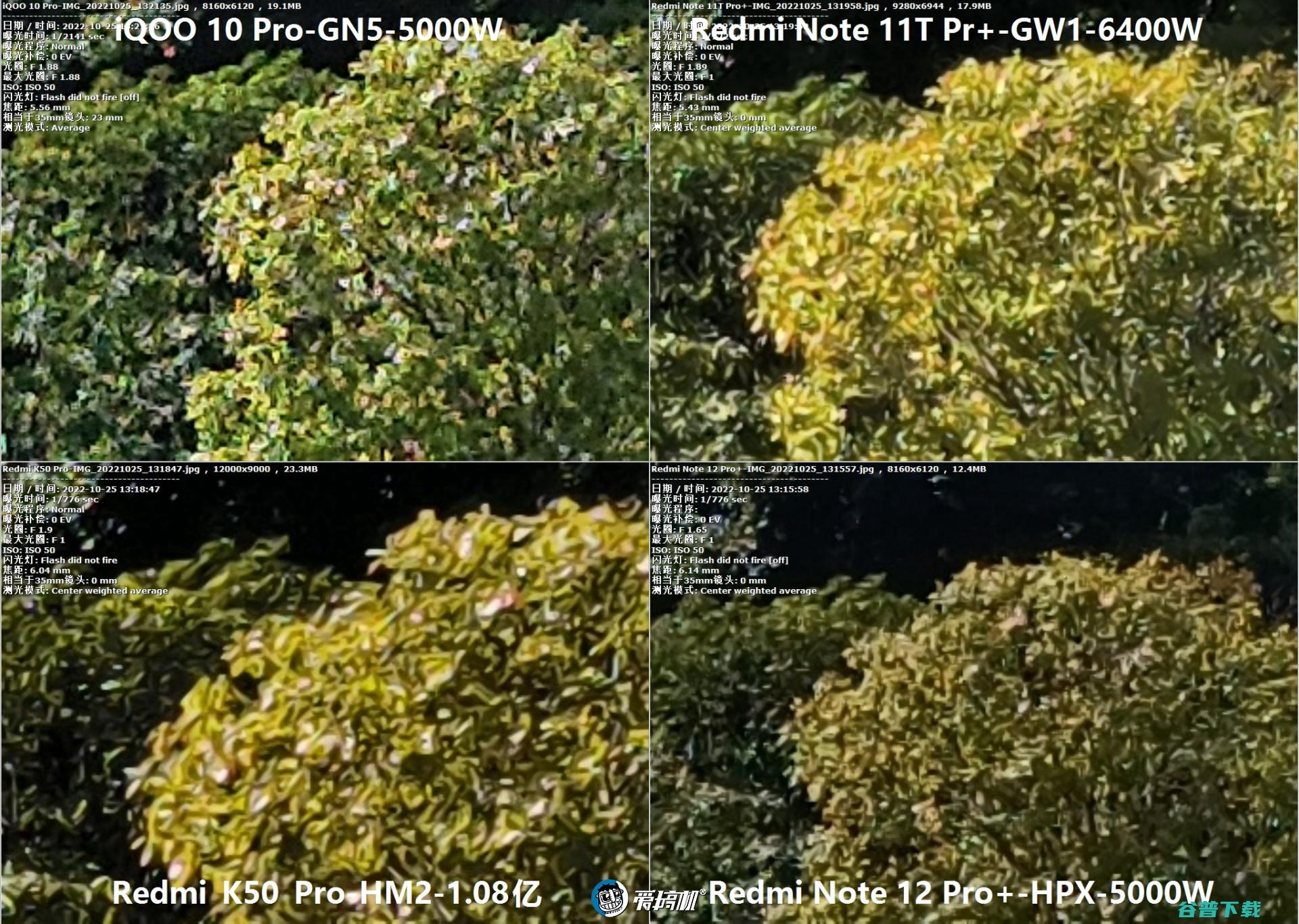 2亿像素拍照对比：Redmi Note 12 Pro+对战K50 Pro、iQOO 10 Pro