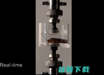 意大利地震发生之后，这些救灾可能会帮上忙