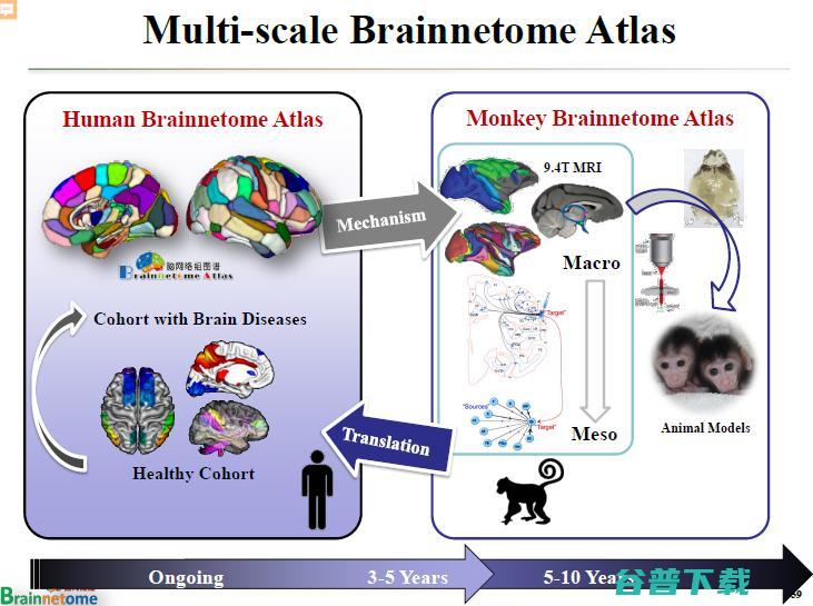 万字长文 | 中科院蒋田仔教授：脑网络组图谱及其在脑认知与脑疾病方面的应用
