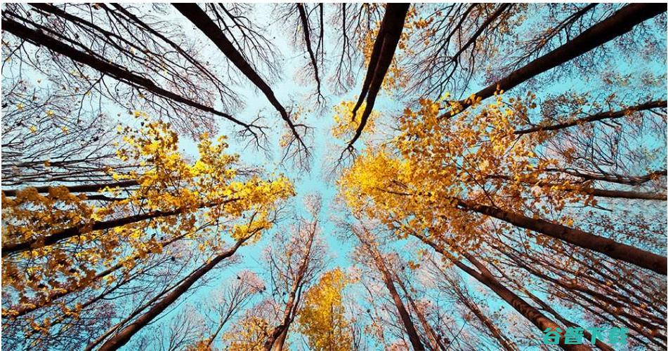 AI 是否拥有意识？从意识的定义说起