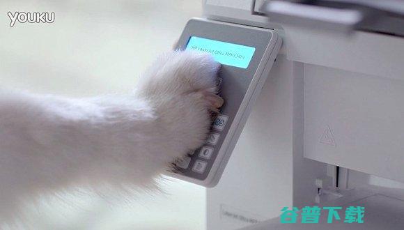 微博甲代言惠普 引来网友骂声一片 IT业界 第3张