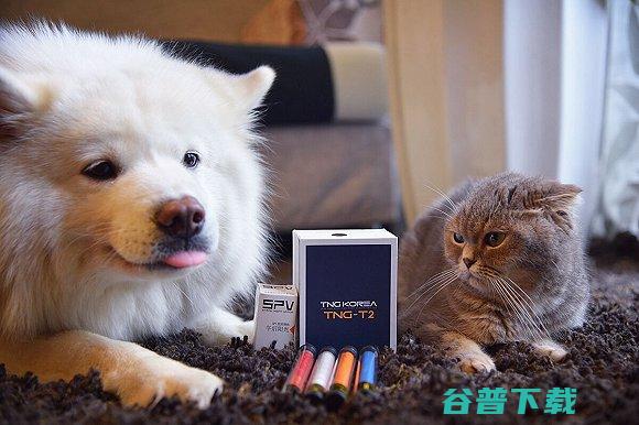 微博甲代言惠普 引来网友骂声一片 IT业界 第6张